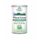 Wheat Grass Power 100g Organic India